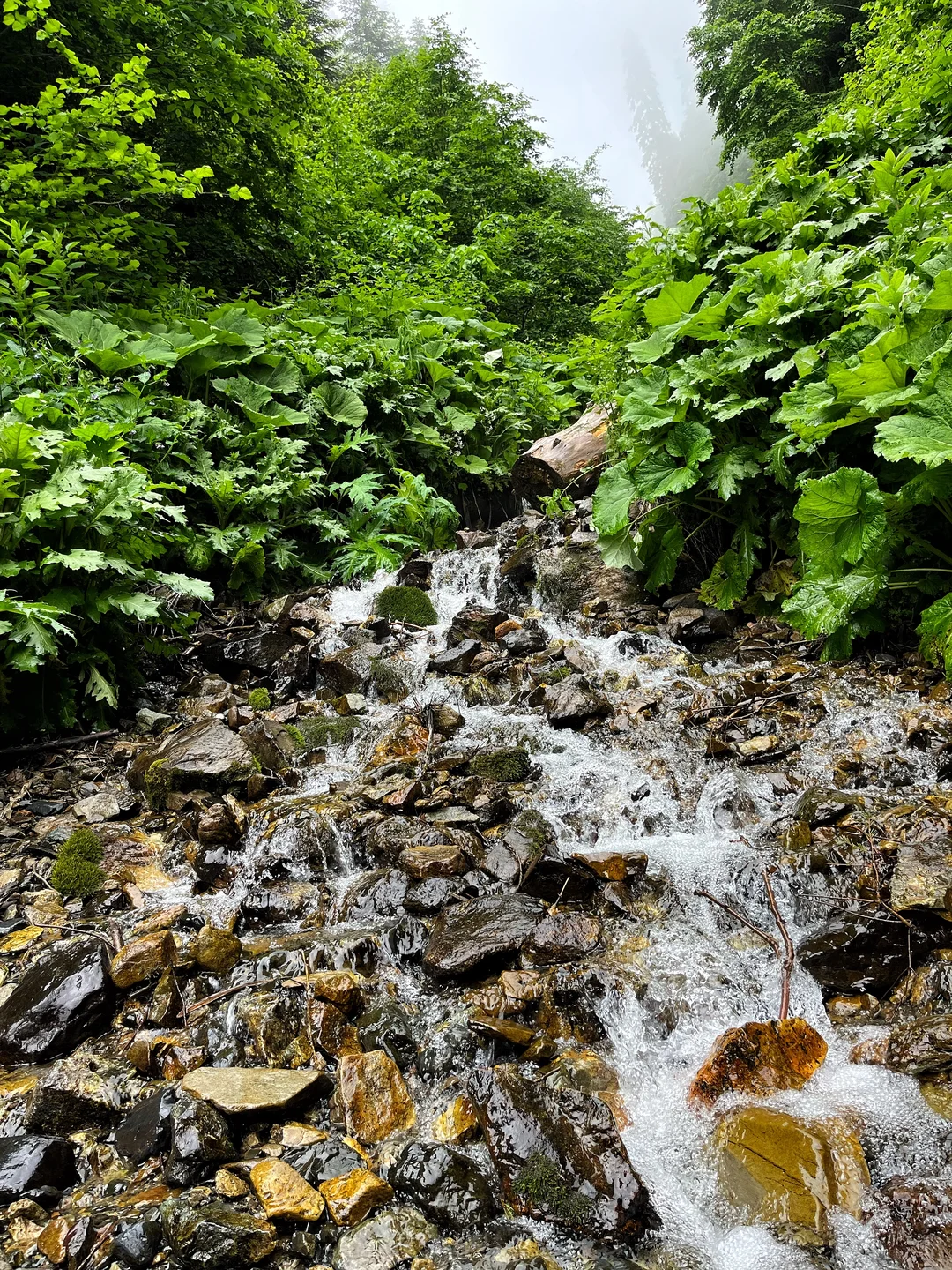 КвадроТур &laquo;ВОДОПАД БЕЗЫМЯННЫЙ&raquo; Сочи &mdash; 10 часов &mdash; фото 1 | Квадроциклы Сочи-Адлер - Прокат Квадроциклов в Сочи