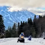 Тур &laquo;Дикий лес&raquo;