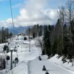 Тур &laquo;Дикий лес&raquo;