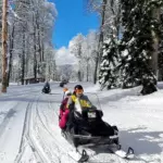 Тур &laquo;Дикий лес&raquo;