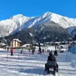 Тур &laquo;Снежное сафари&raquo;