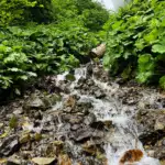 ТУР "ВОДОПАД БЕЗЫМЯННЫЙ" 10 часов